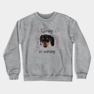 Spring is coming with Doxie Head, Butterflies nad Flowers Crewneck Sweatshirt